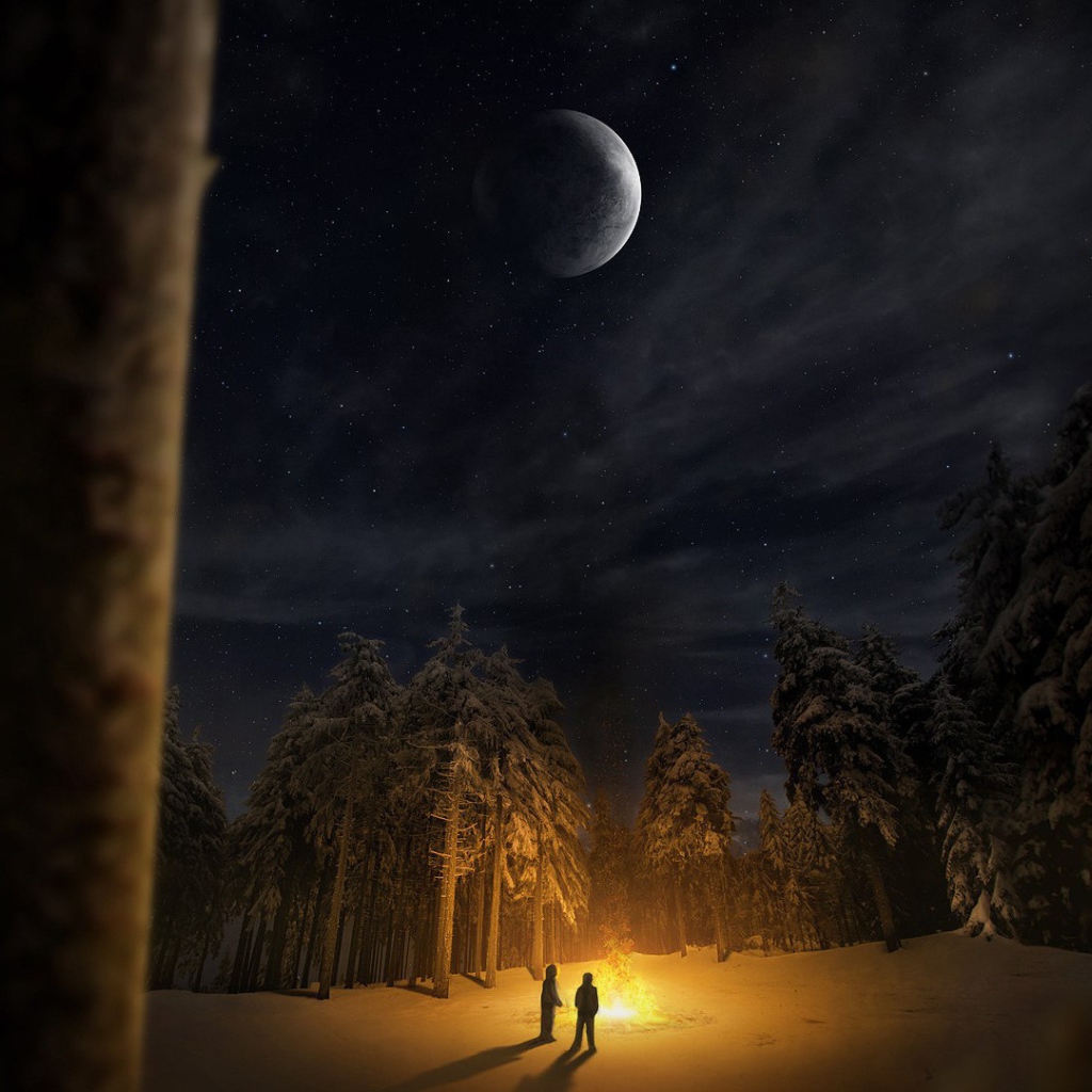 Костер в лесной чаще