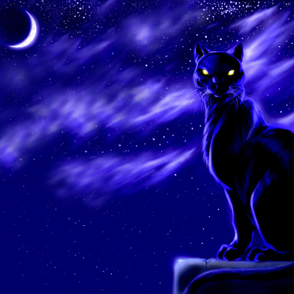 Черный кот лунной ночью