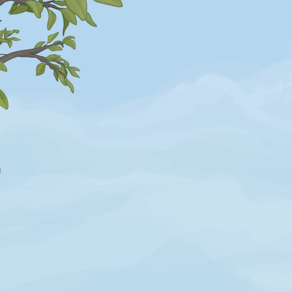 Кривое дерево