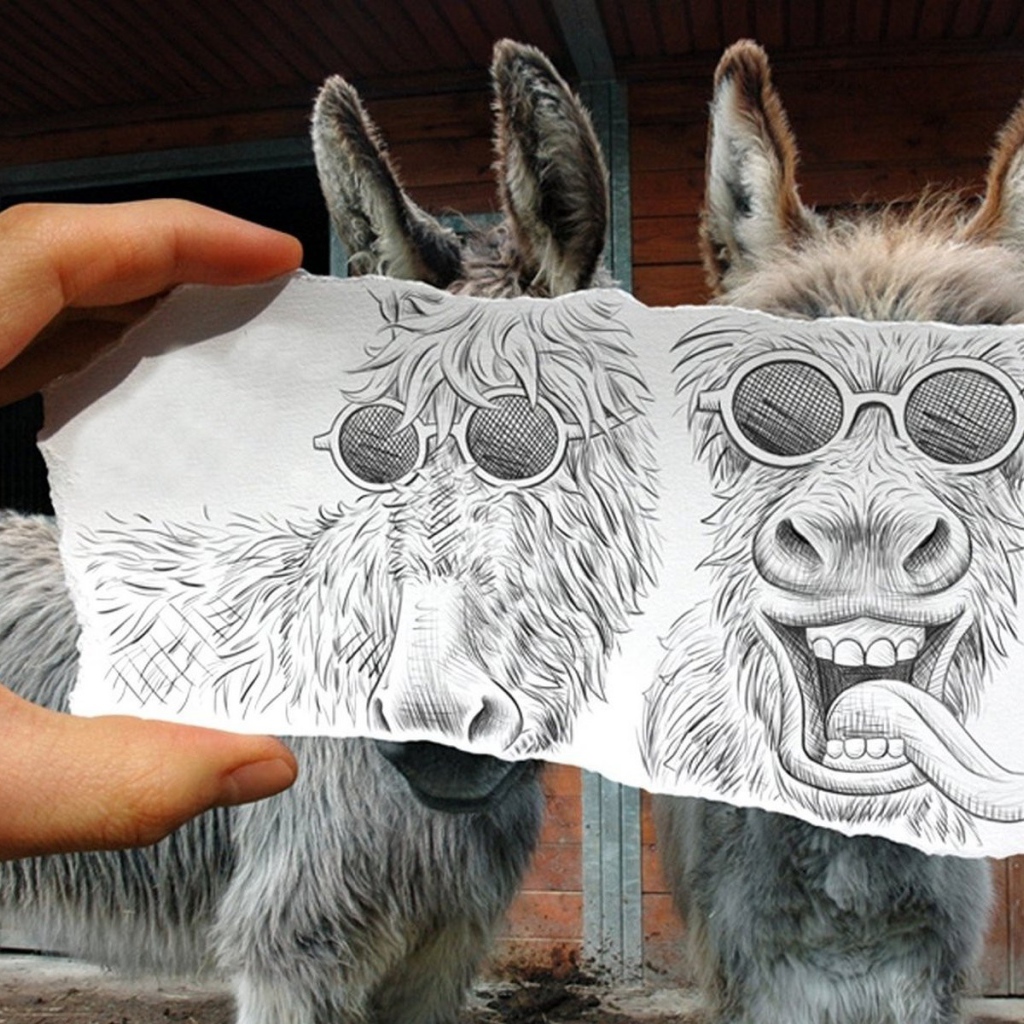 Рисунок поверх фото ослов