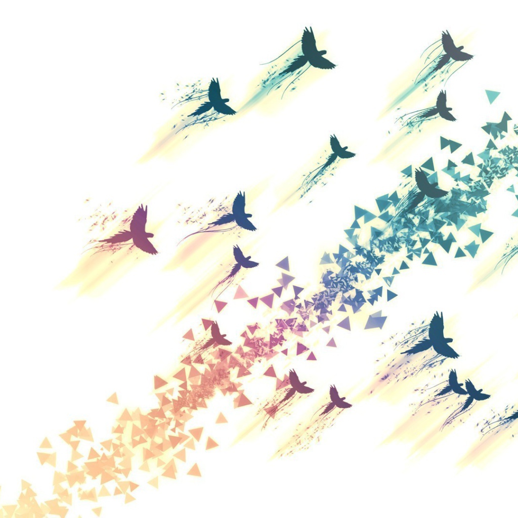 Нарисованные птицы на белом фоне