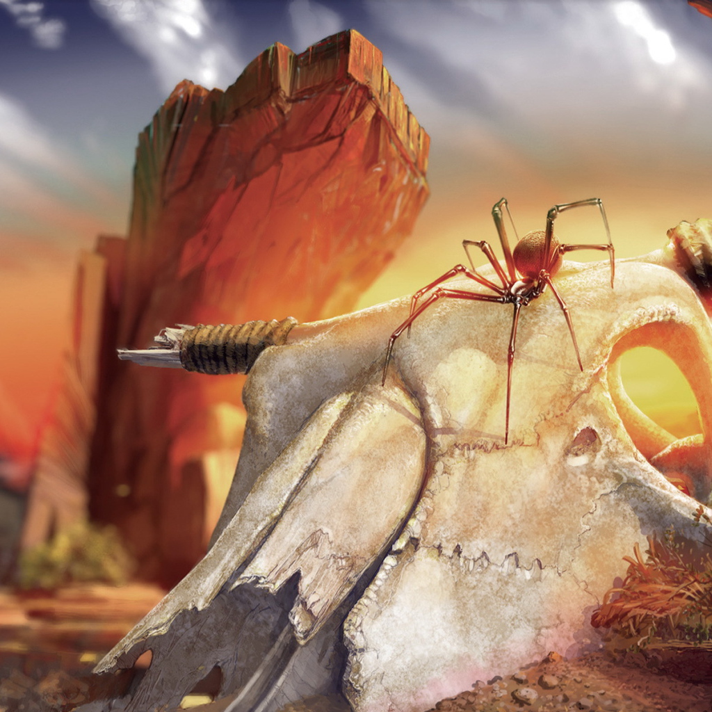 Паук на черепе