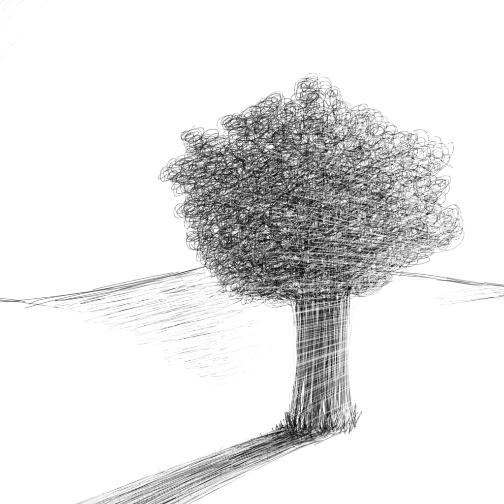 Дерево в пустыне, рисунок карандашом