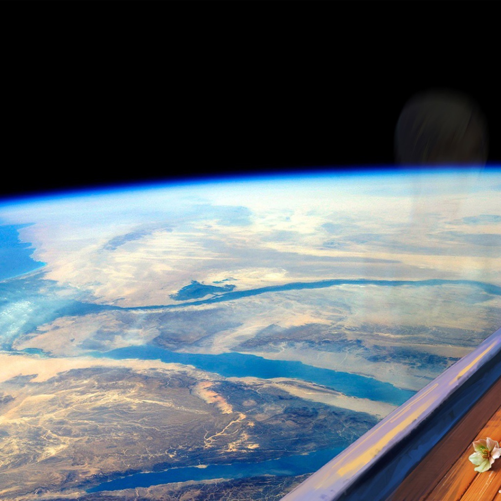 Девушка блондинка смотрит в окно на Землю