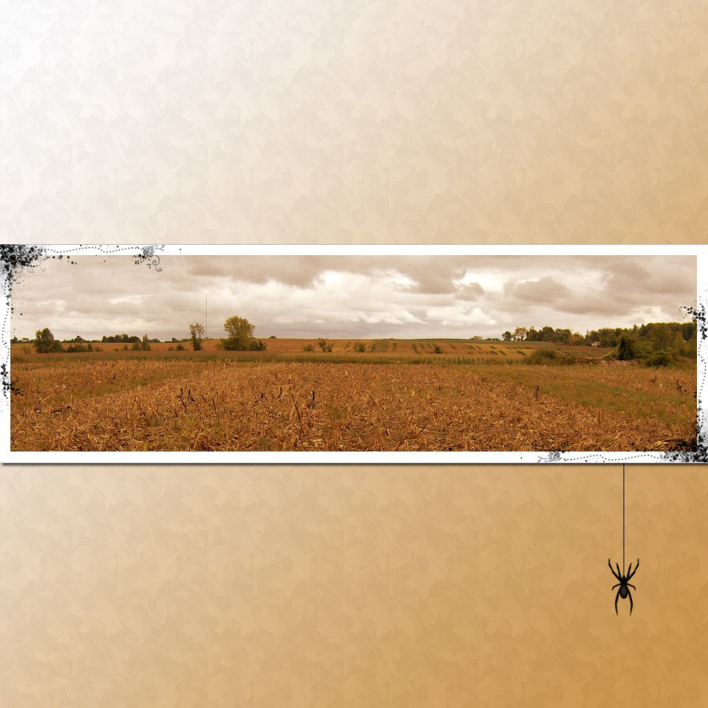 Паук на картине