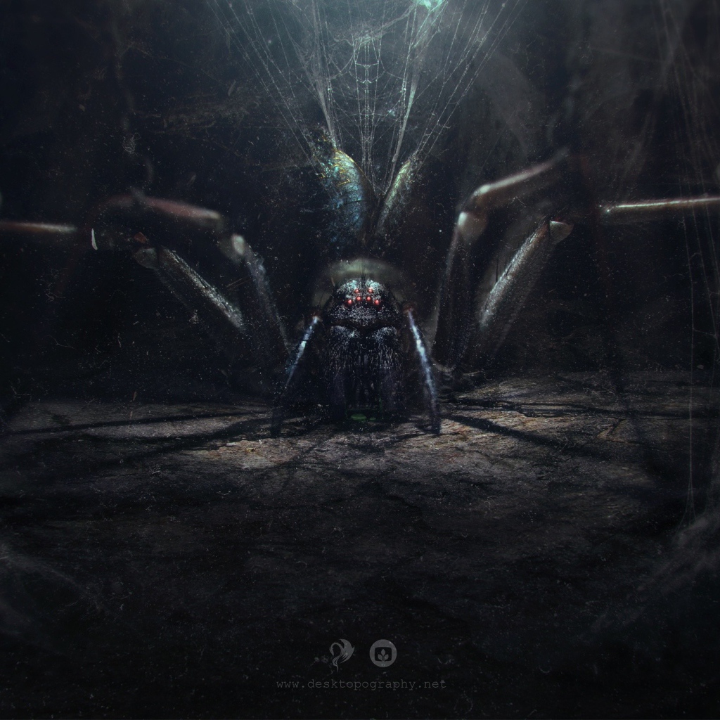 Огромный паук в своем логове