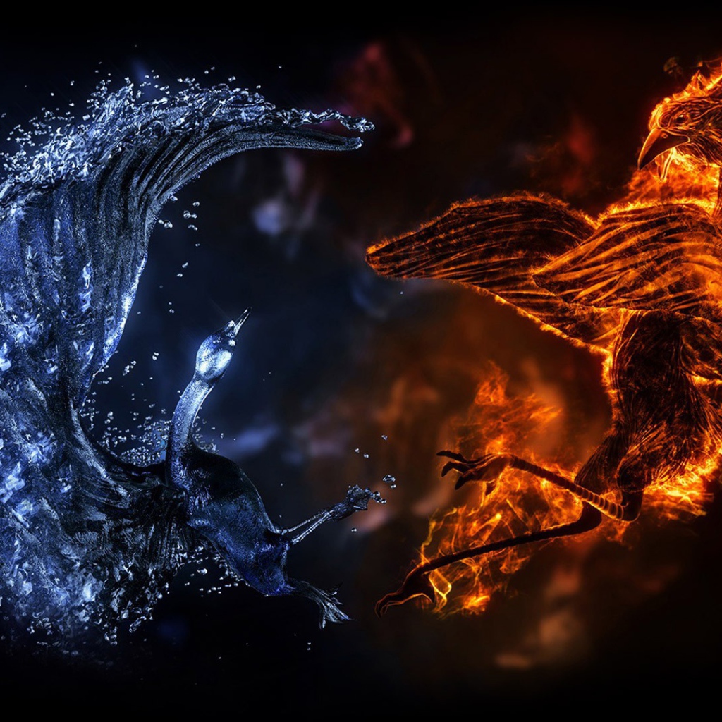 Сражение огненного и водного драконов