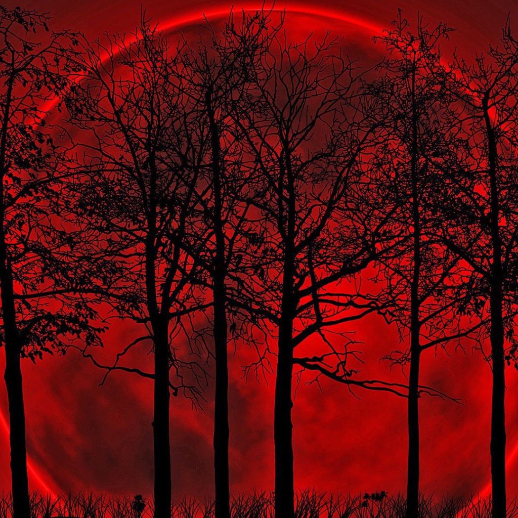 Кровавая луна позади деревьев