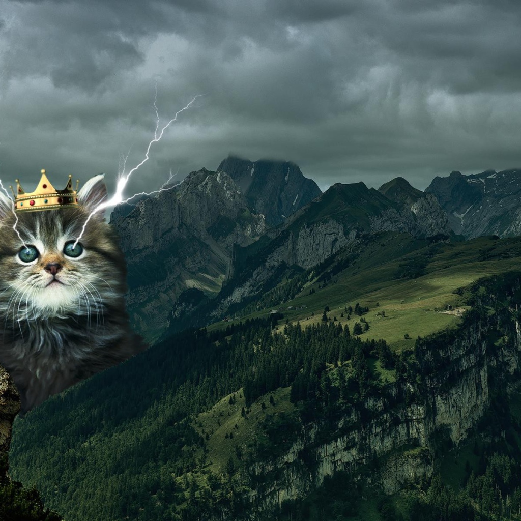 Кот в короне среди гор