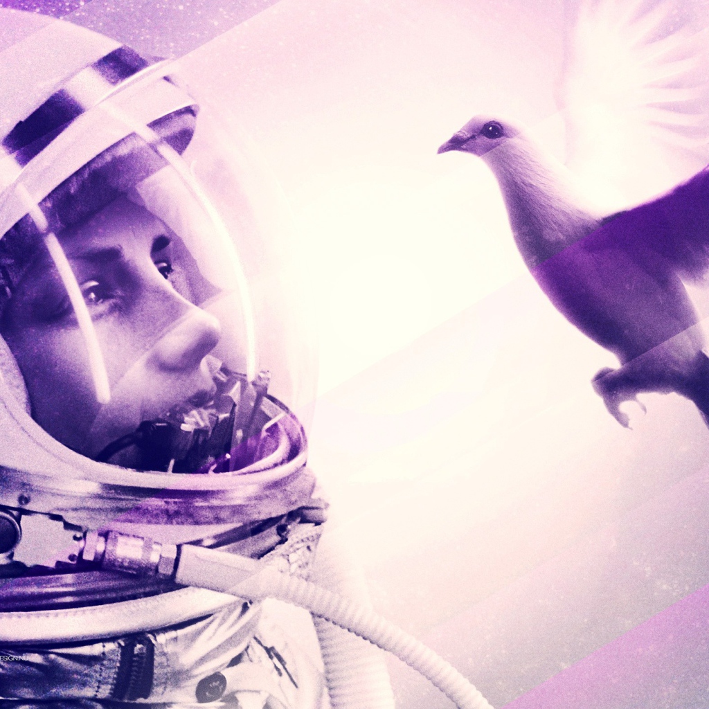 Космонавт смотрит на птицу