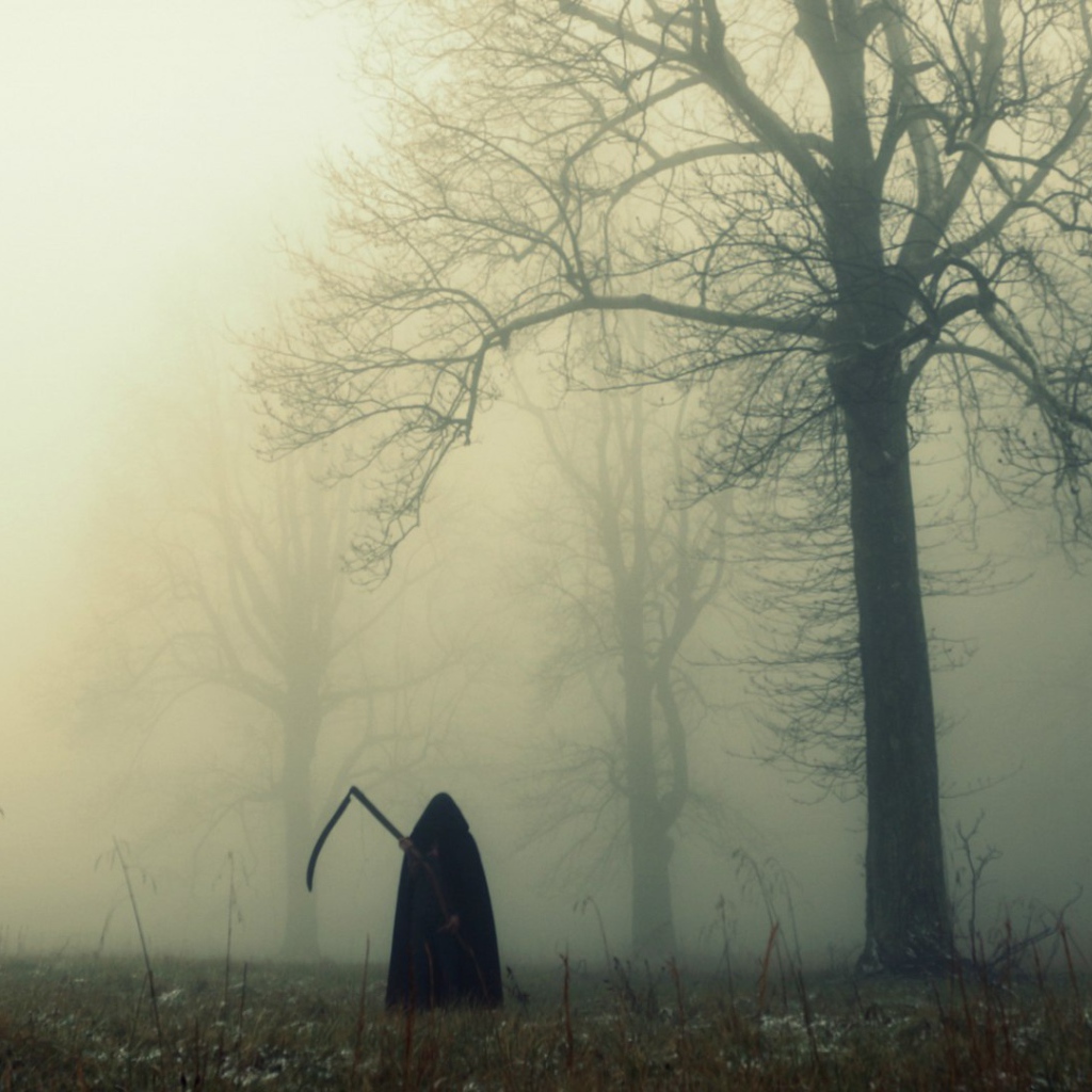 Смерть в темном лесу