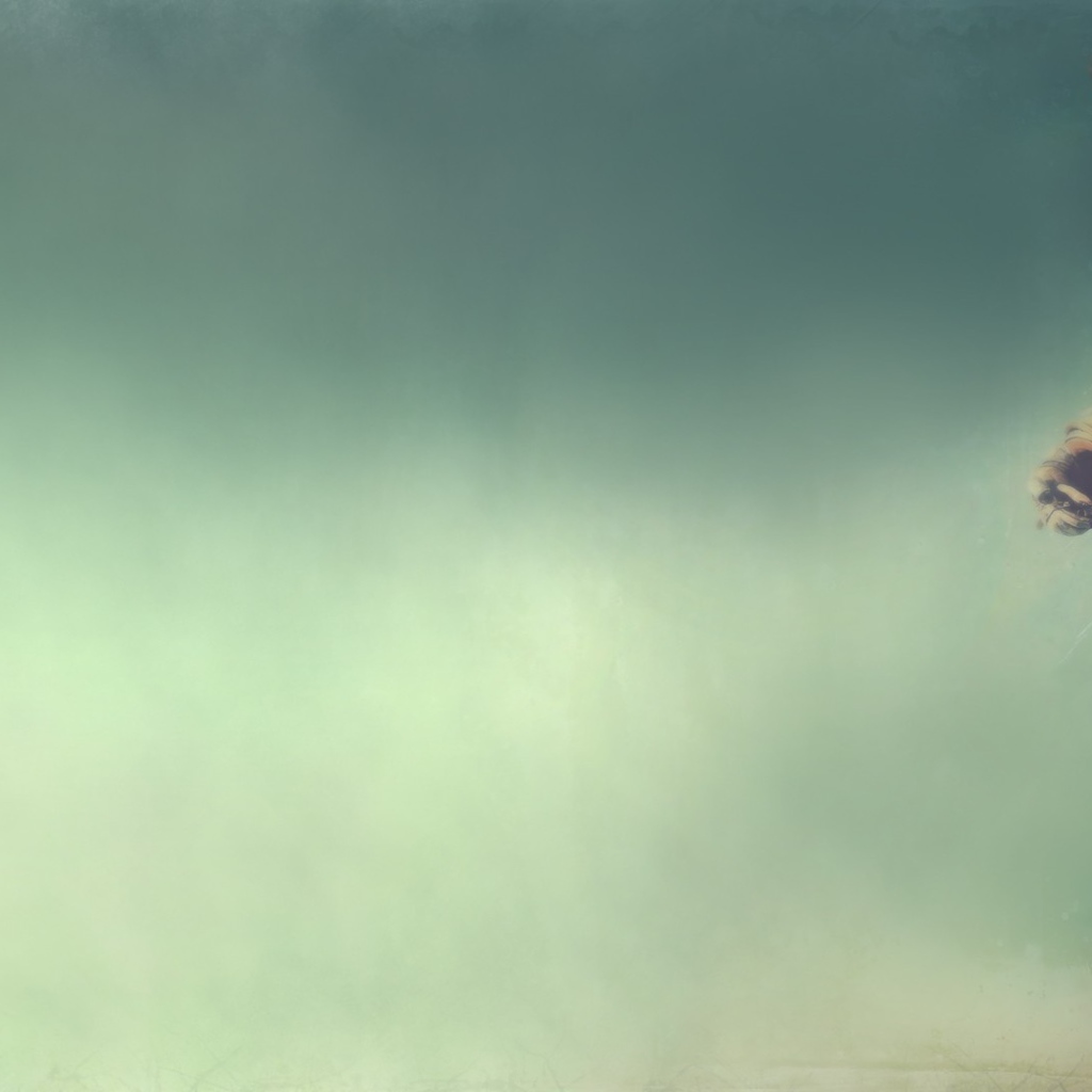 Олень в костюме космонавта