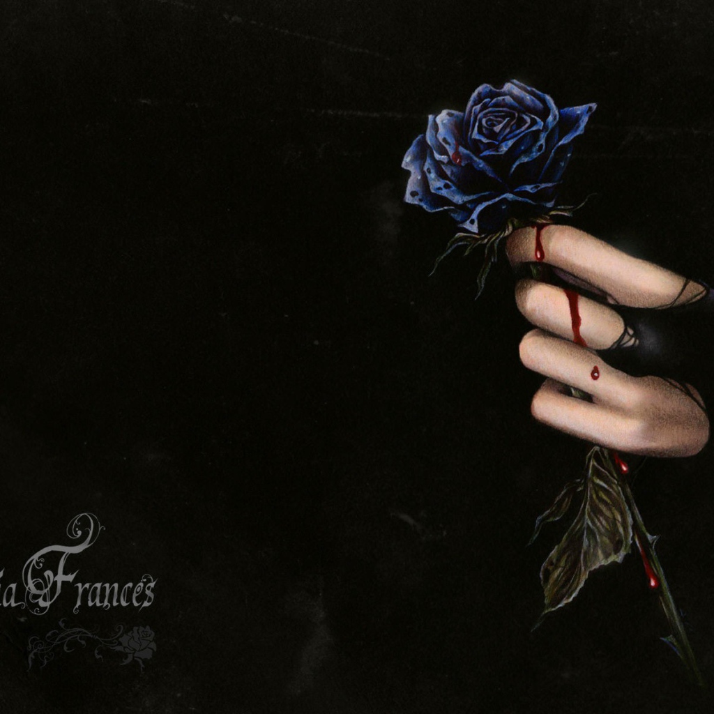 Капли крови на розе и руке