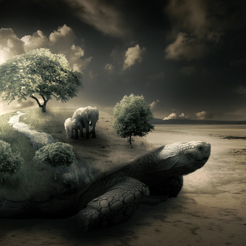 Слоны на черепахе на берегу моря