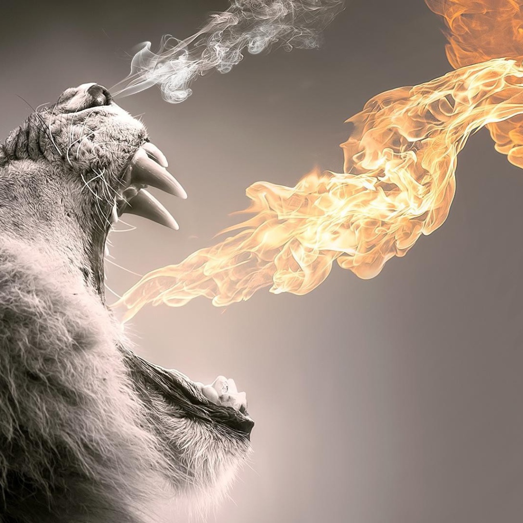 Пламя из пасти мохнатого животного