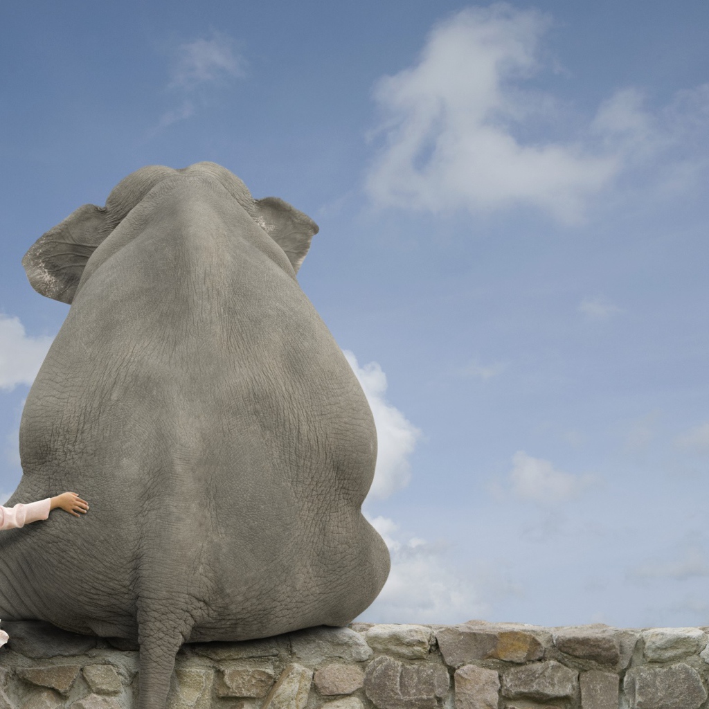 Девочка обнимает слона