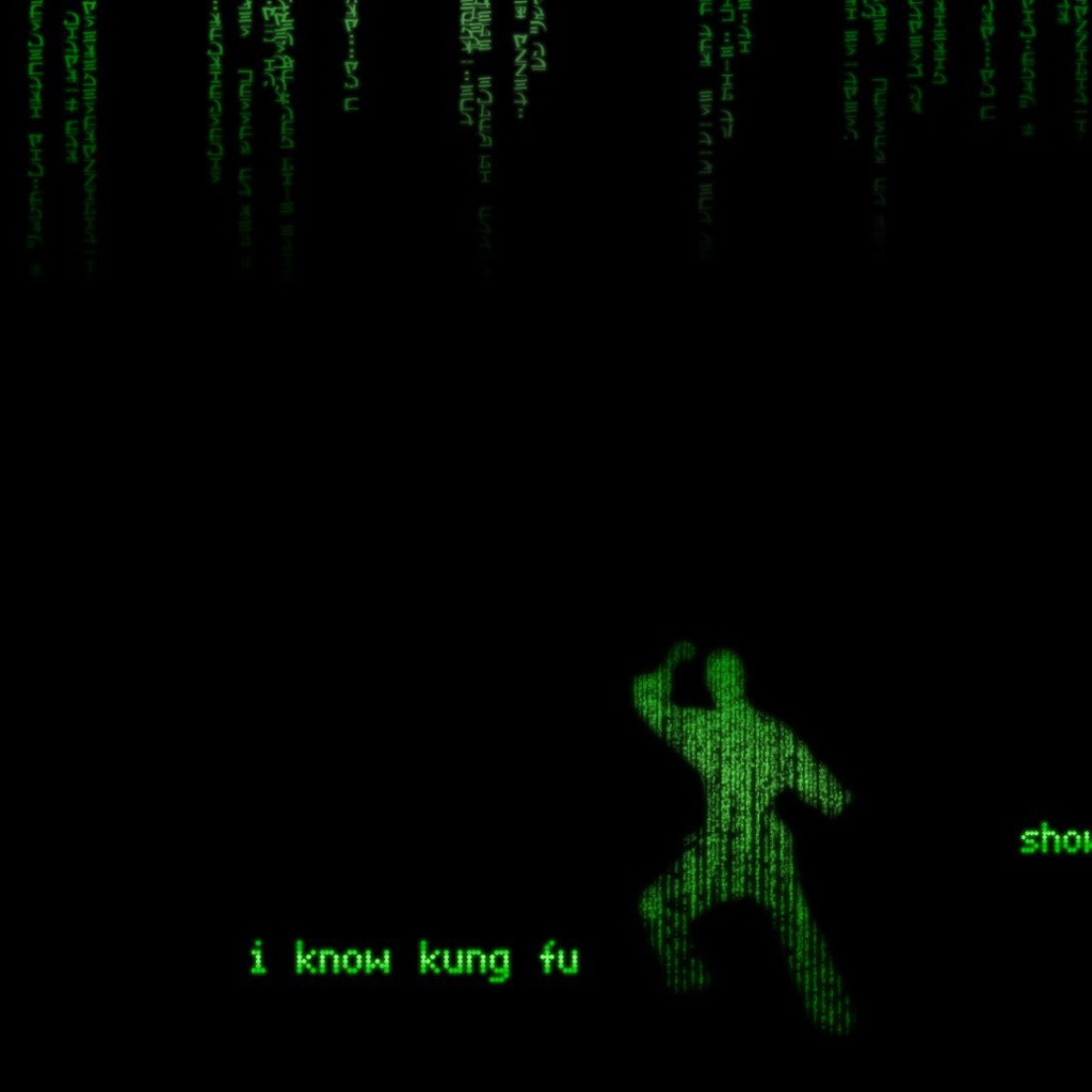 Кунг-фу в Матрице