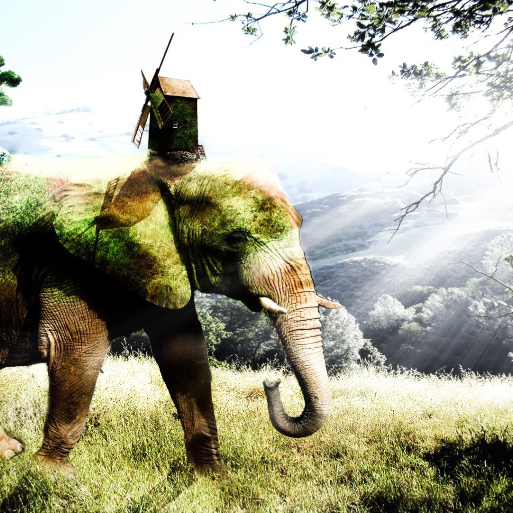 Покрытый мхом слон