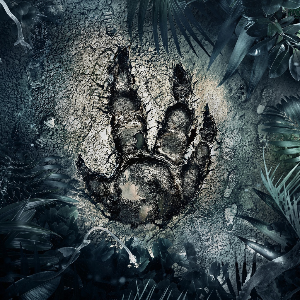 След загадочного зверя