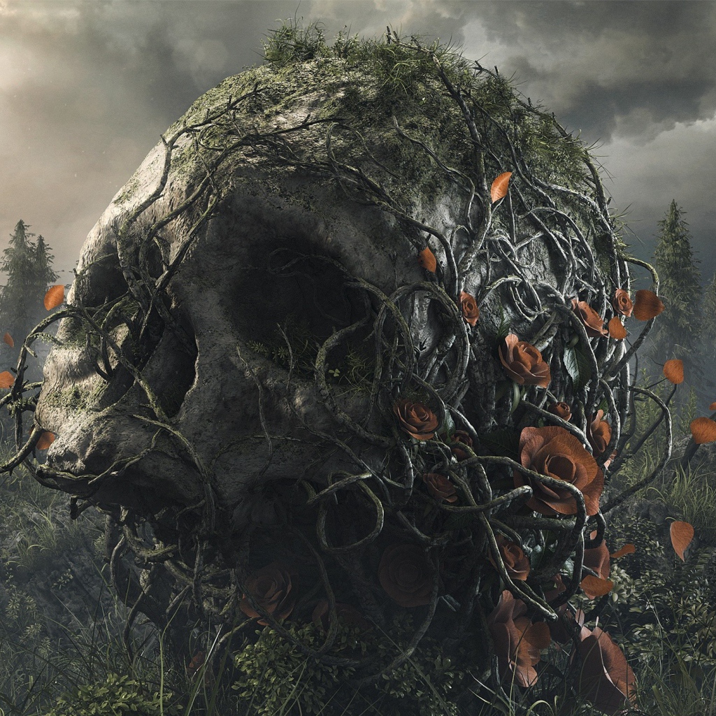 Поросший лианами большой череп