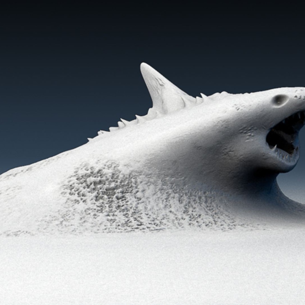 Окаменевшая акула на дне моря