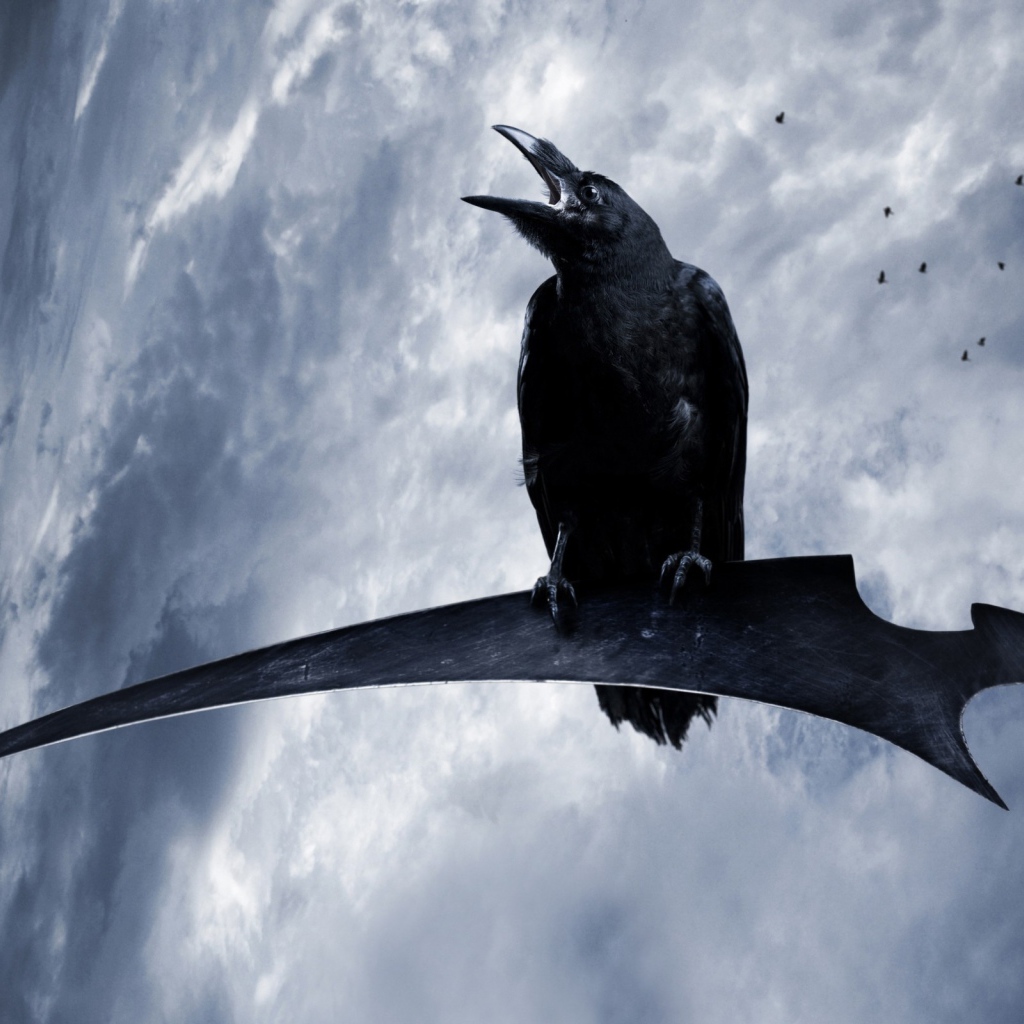 Ворон на косе