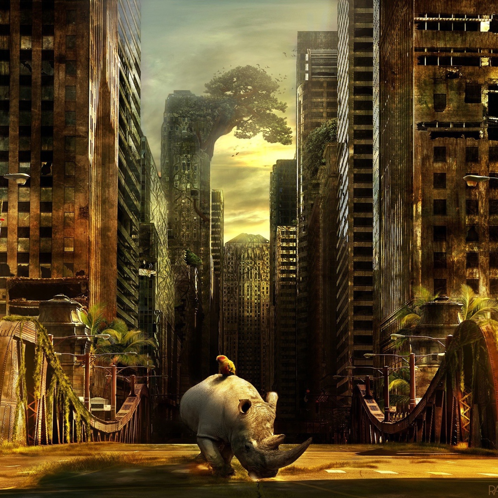 Носорог гуляет в брошенном городе