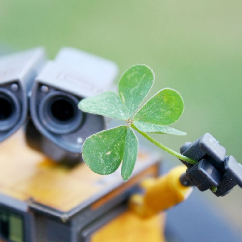 Робот Валли подает зеленый росток