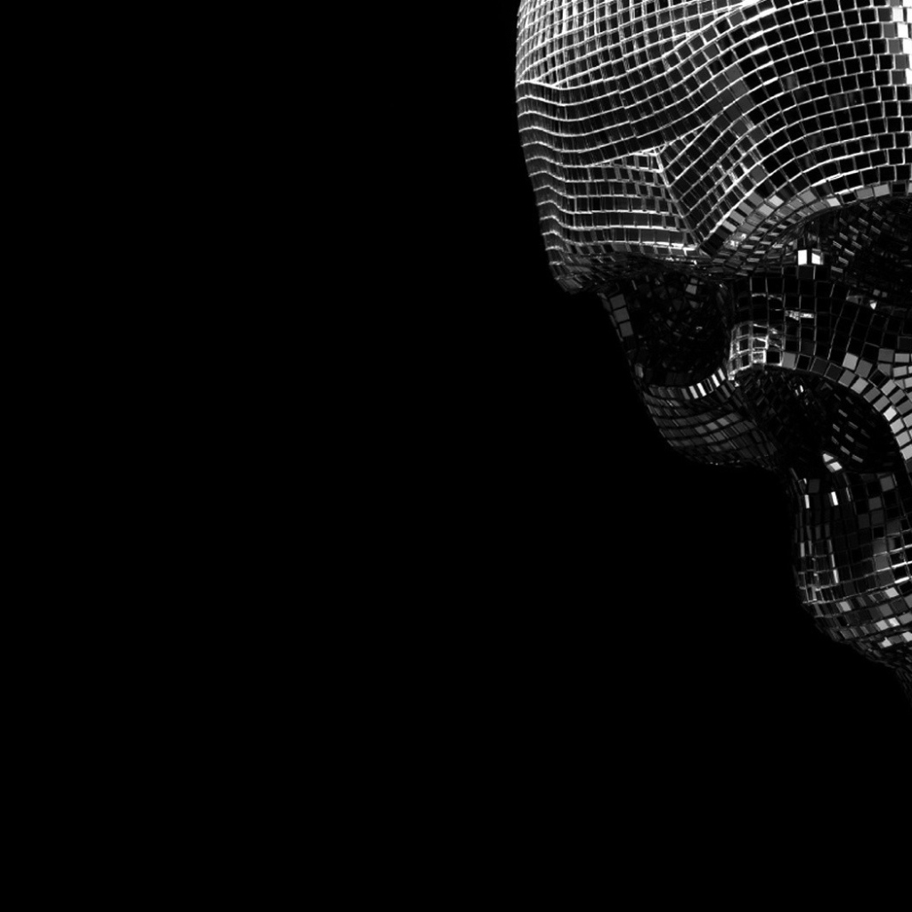 Череп из зеркальных кристаллов