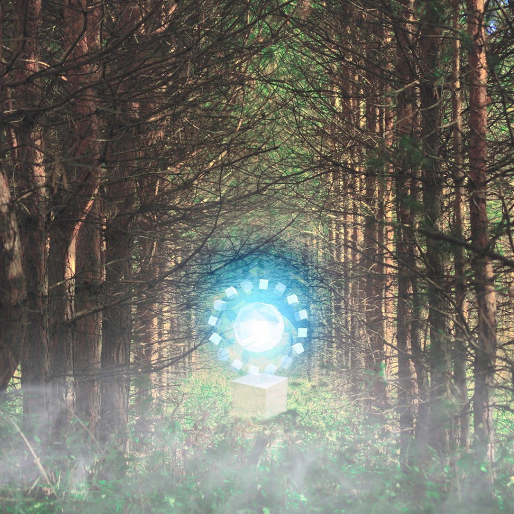 Временной портал посреди леса