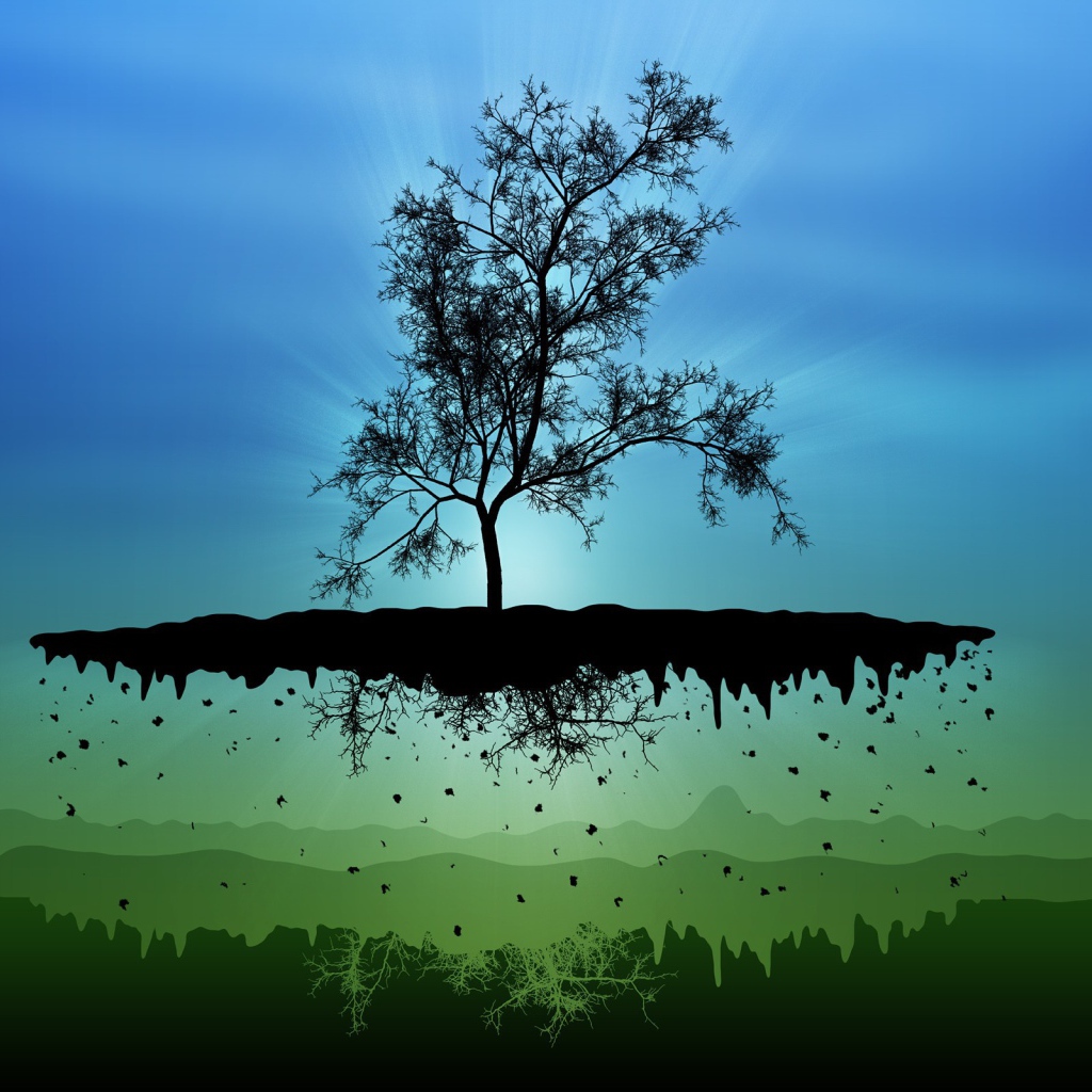 Дерево на парящем острове