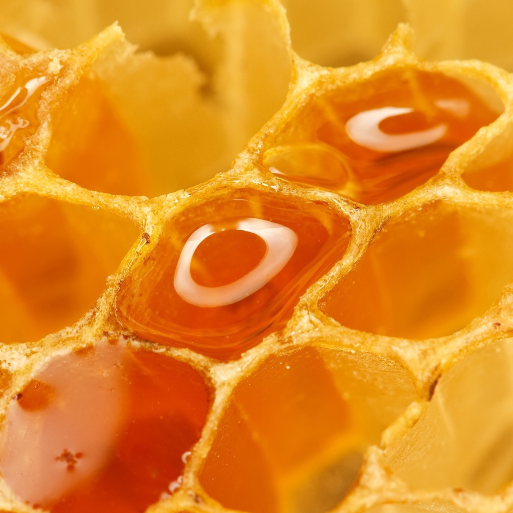 Полные соты меда