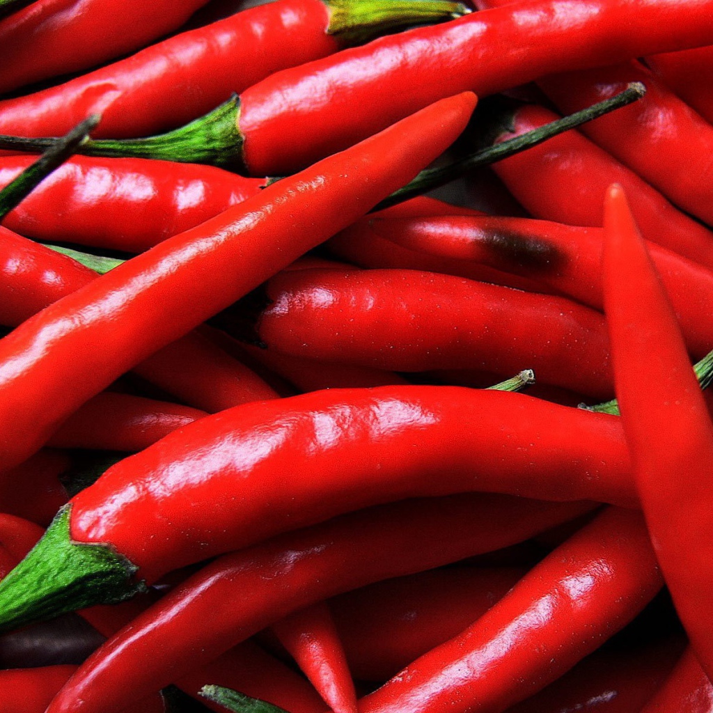 Красные острые перцы чили