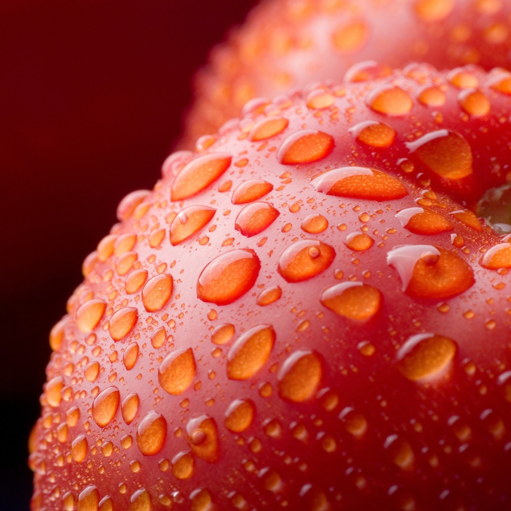 Влажный красный помидор