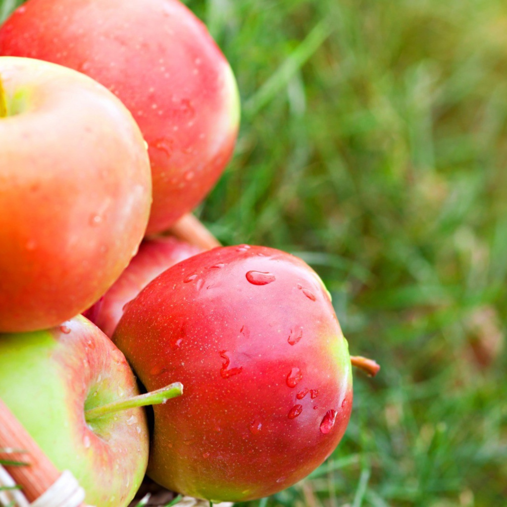 Яблоки лежат на траве