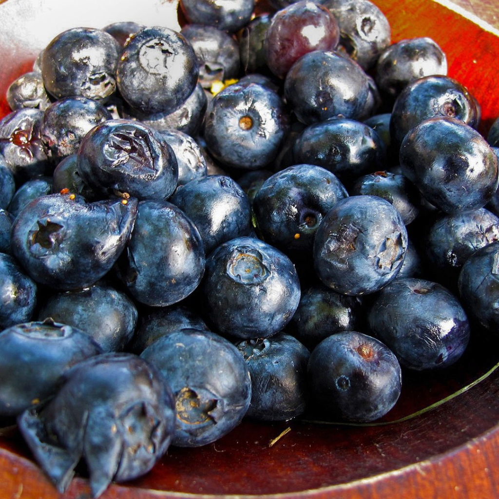 Черника на тарелке