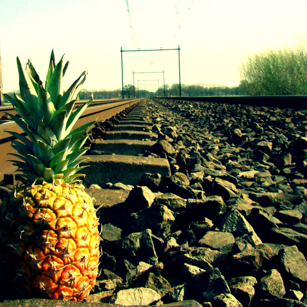 Ананас у рельса