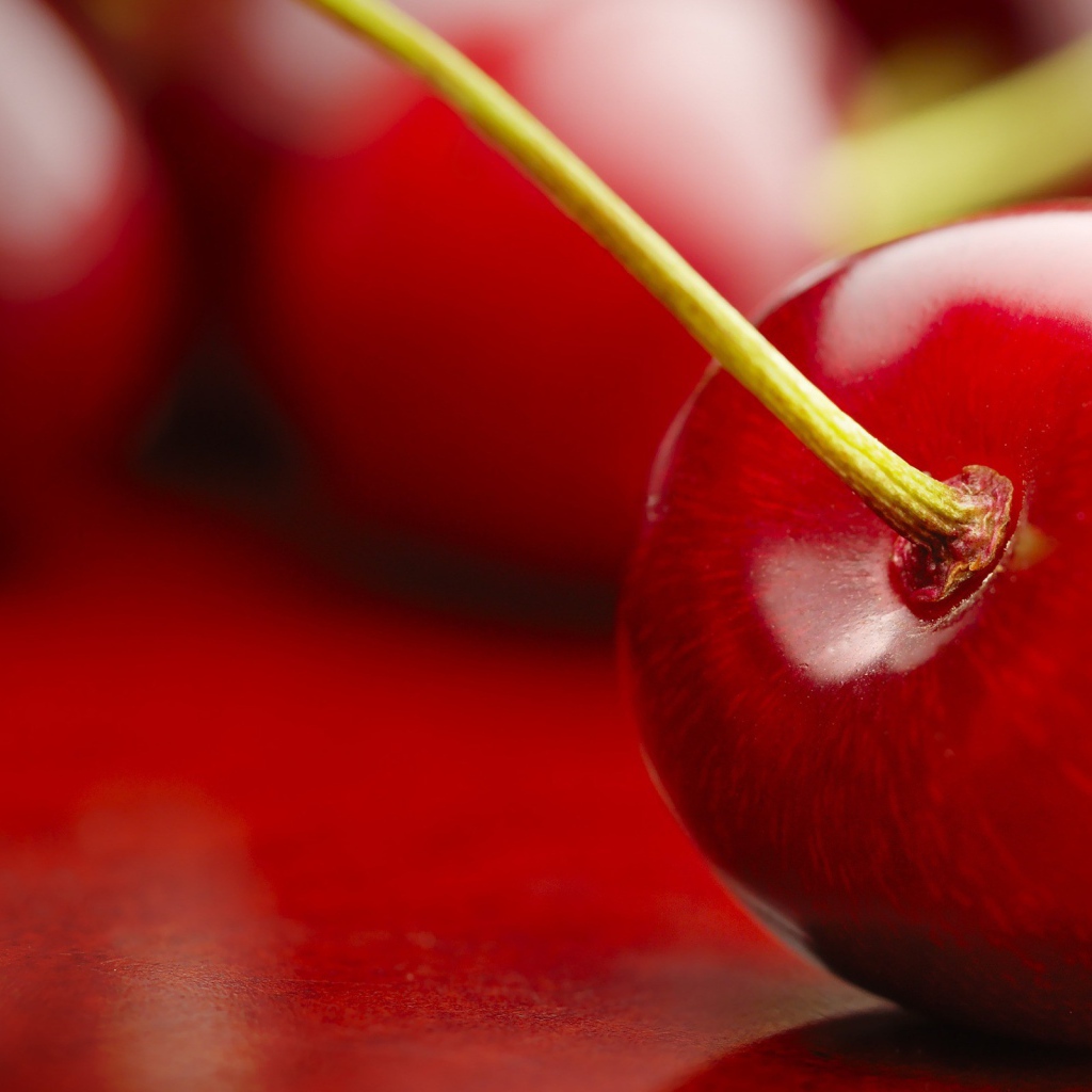 Черешня. Красная вишня. Красная вишня. Черешня сорт креолка. Черешня ягоды.