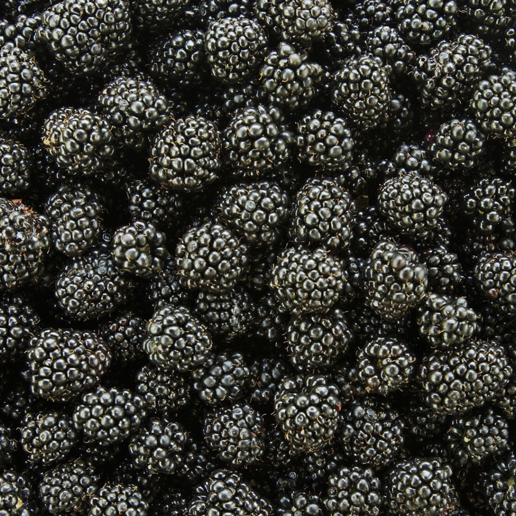 Спелые ягоды ежевики