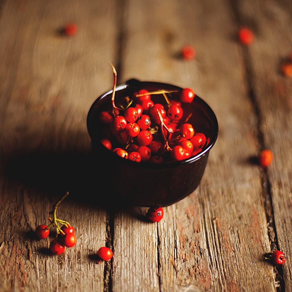 Ягоды рябины в черной пиале