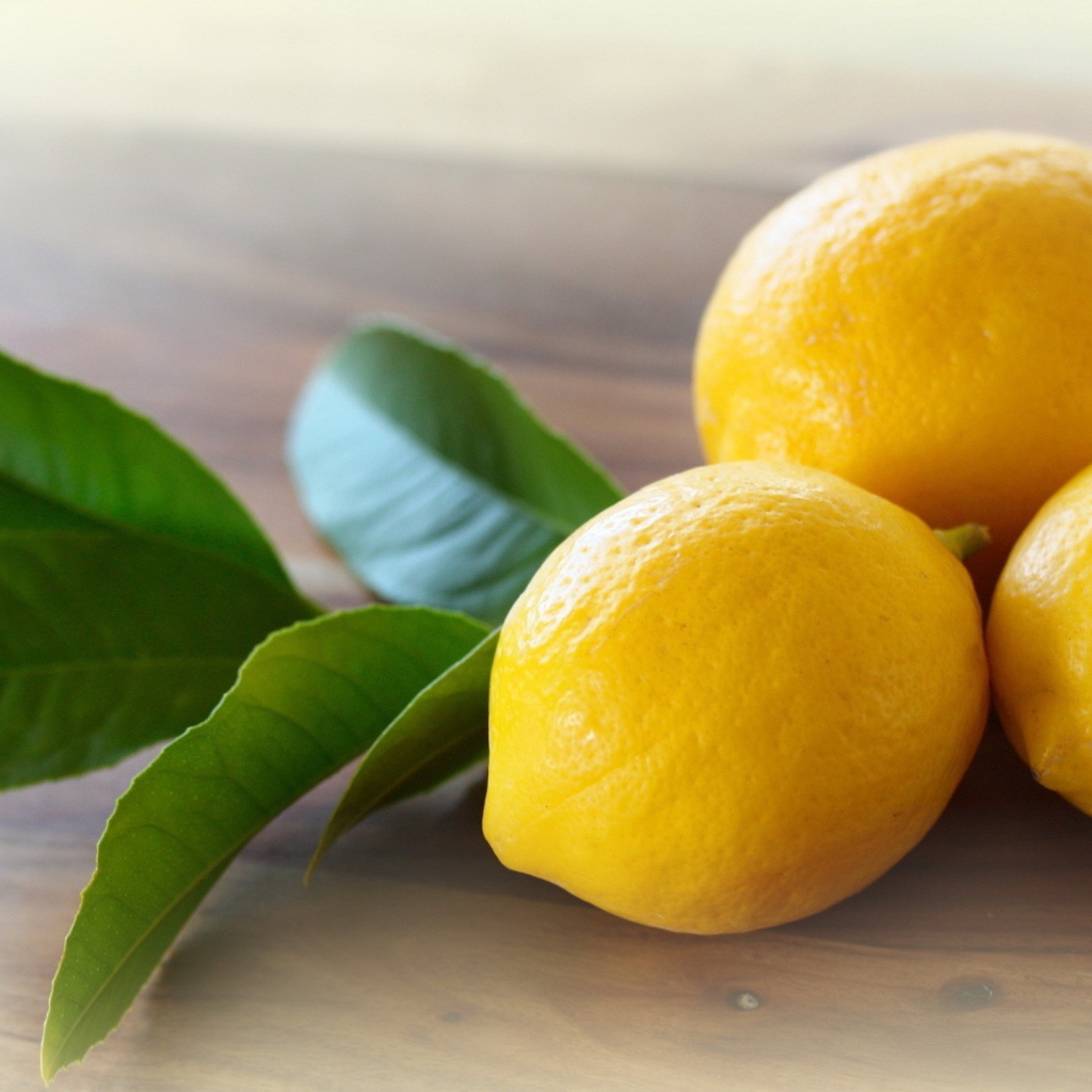 Три лимона с веточкой дерева