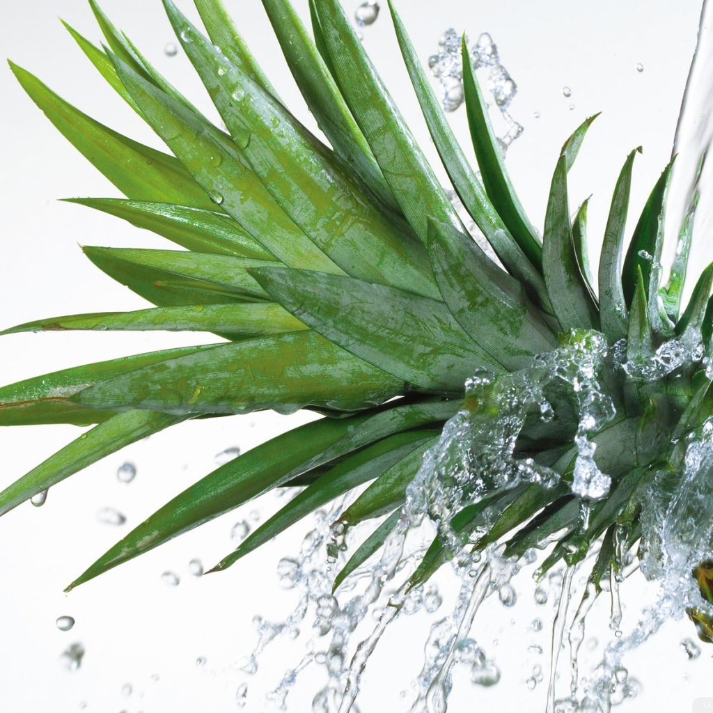 Вода льется на ананас