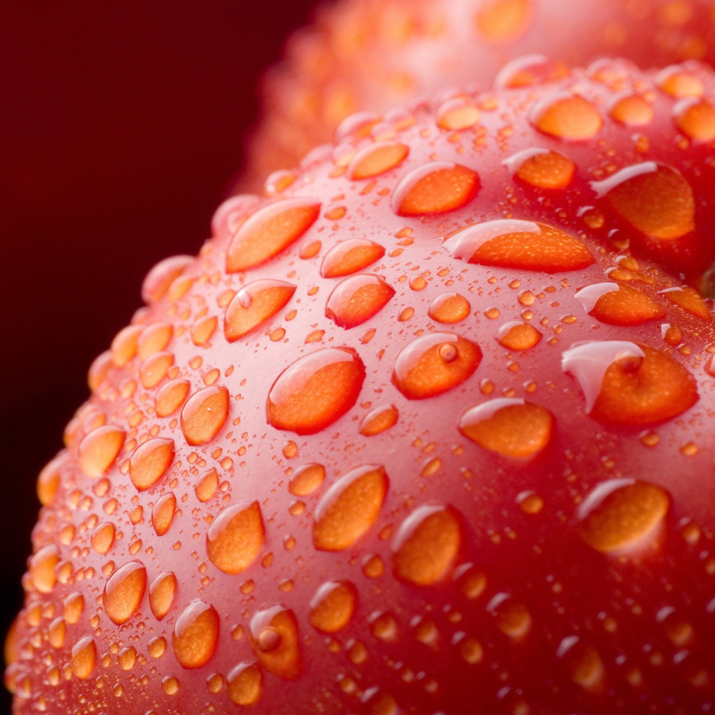 текстура красного стекла. обои на рабочий стол абстракция. мокро красный. мокро красный. фотообои красные розы.