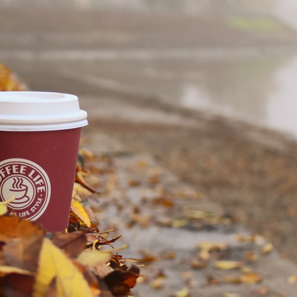 Стакан кофе из Старбакс среди листьев