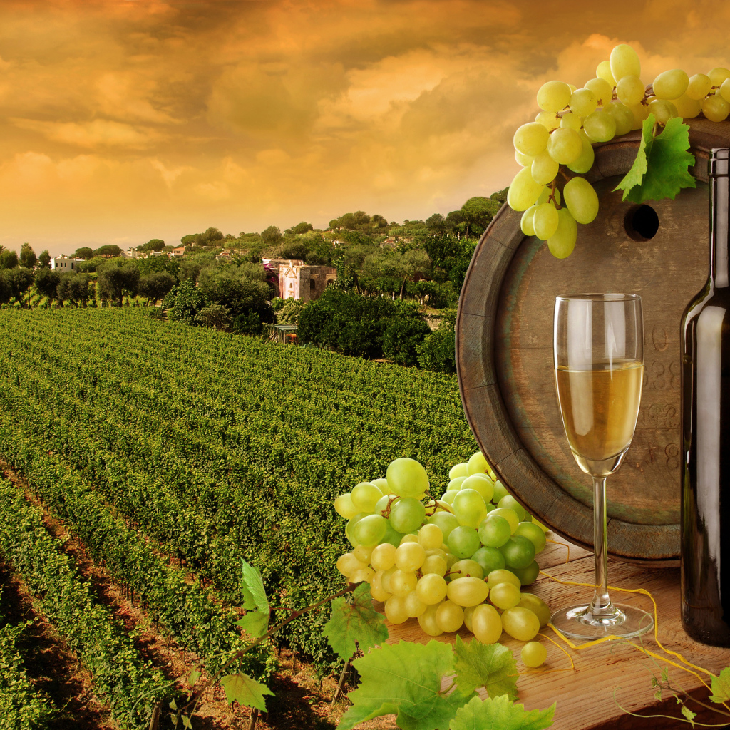 Виноградник и бочка с вином