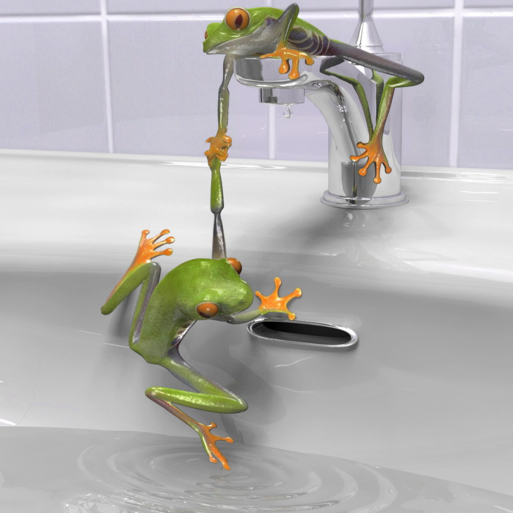 Зеленые лягушки в раковине