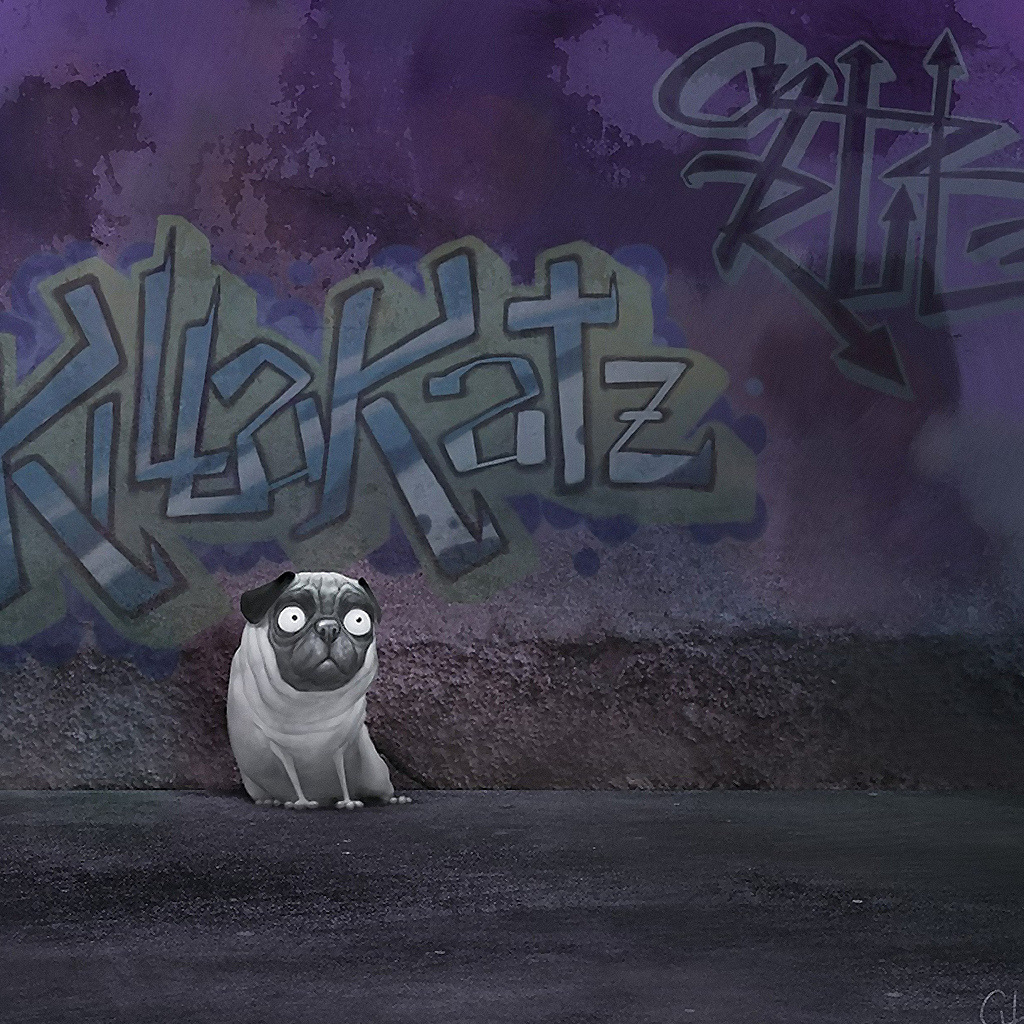 Собака около стены с надписью