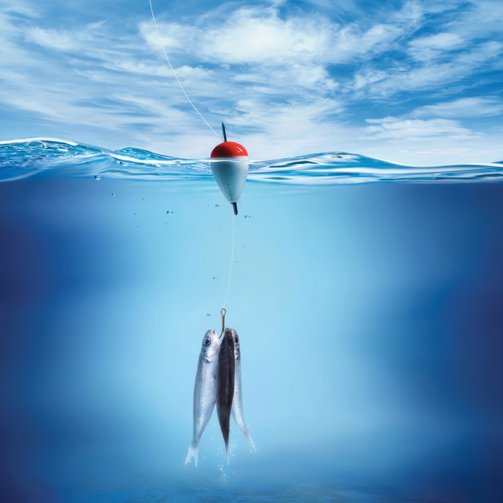 Три рыбы на крючке