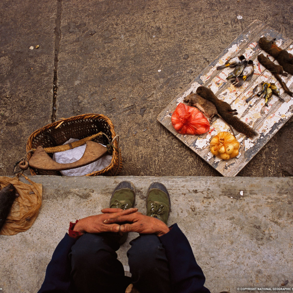 Торговля деликатесами