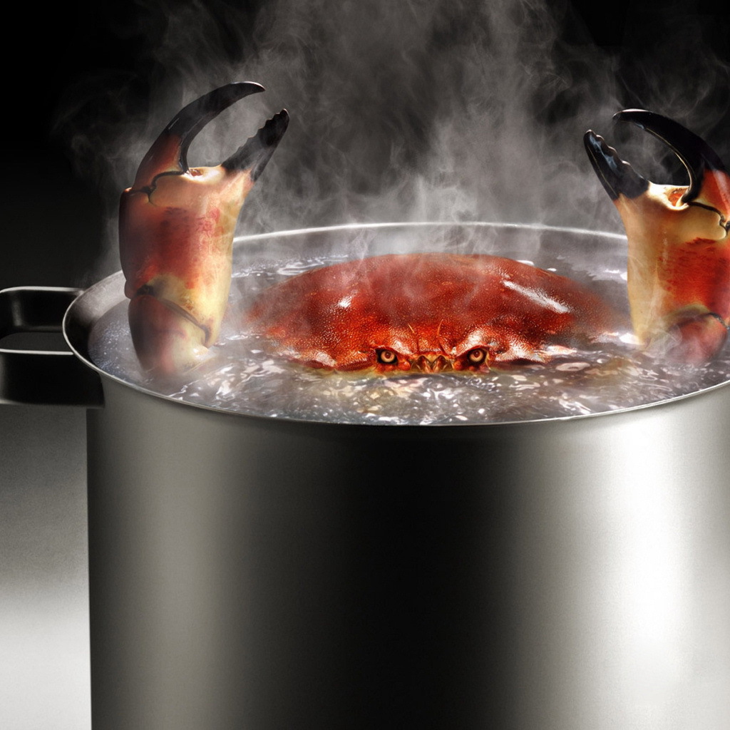 Краб в кипятке